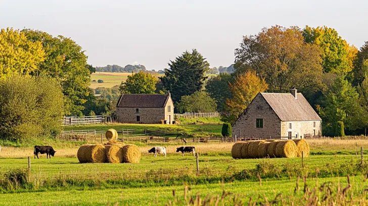 Acres and Satoshis: How Americans Are Pairing Land Ownership With Bitcoin to Build Real Financial Freedom